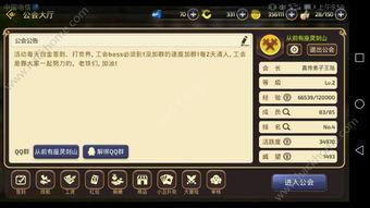 魔术师技能爆料大全最新,神奇魔法背后的奥秘解析